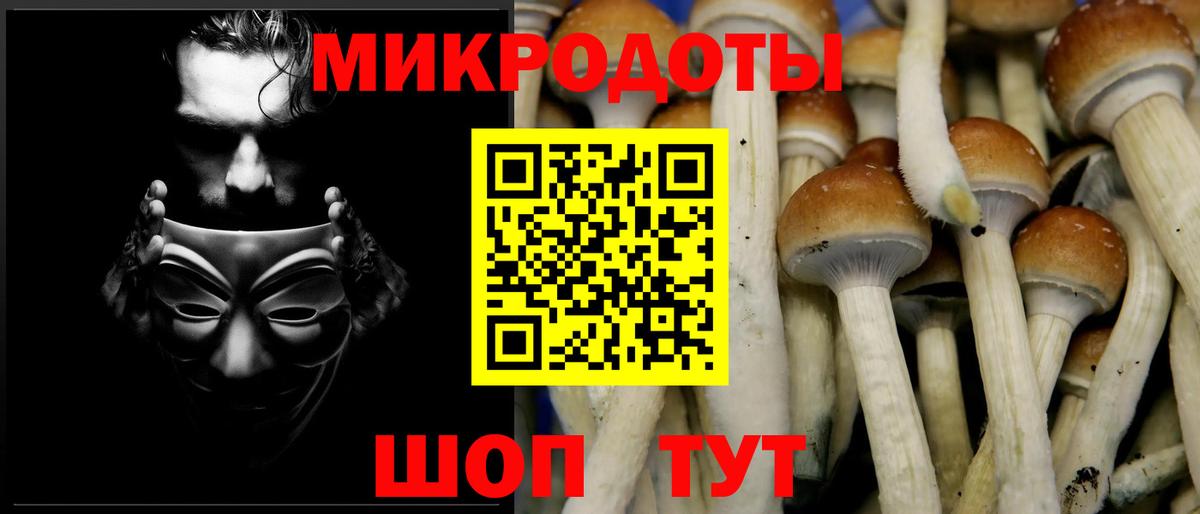 Галлюциногенные грибы GOLDEN TEACHER Всеволожск